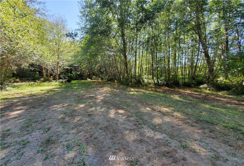 9910 Goodman Mainline Lot B, Forks, Washington 98331, ,Land,For Sale,Goodman Mainline Lot B,NWM1847088