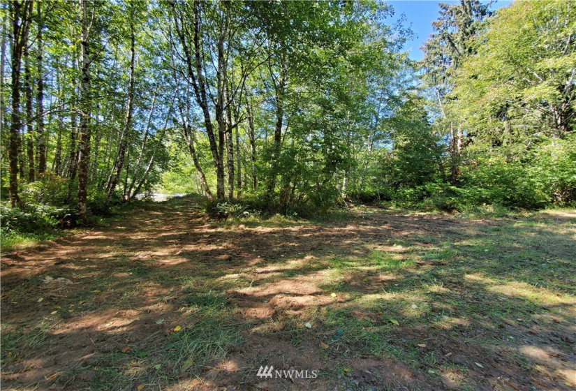 9910 Goodman Mainline Lot B, Forks, Washington 98331, ,Land,For Sale,Goodman Mainline Lot B,NWM1847088