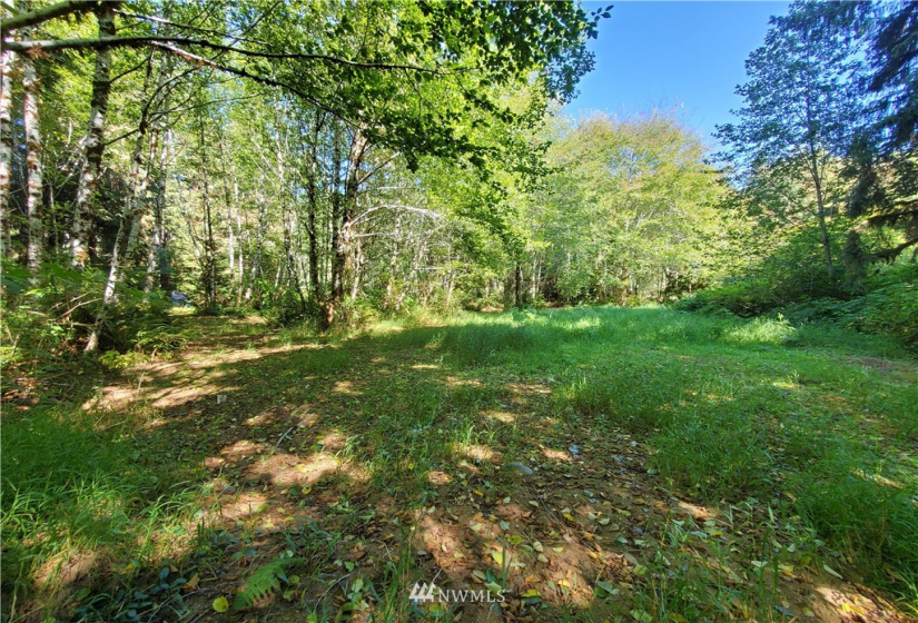 9910 Goodman Mainline Lot B, Forks, Washington 98331, ,Land,For Sale,Goodman Mainline Lot B,NWM1847088