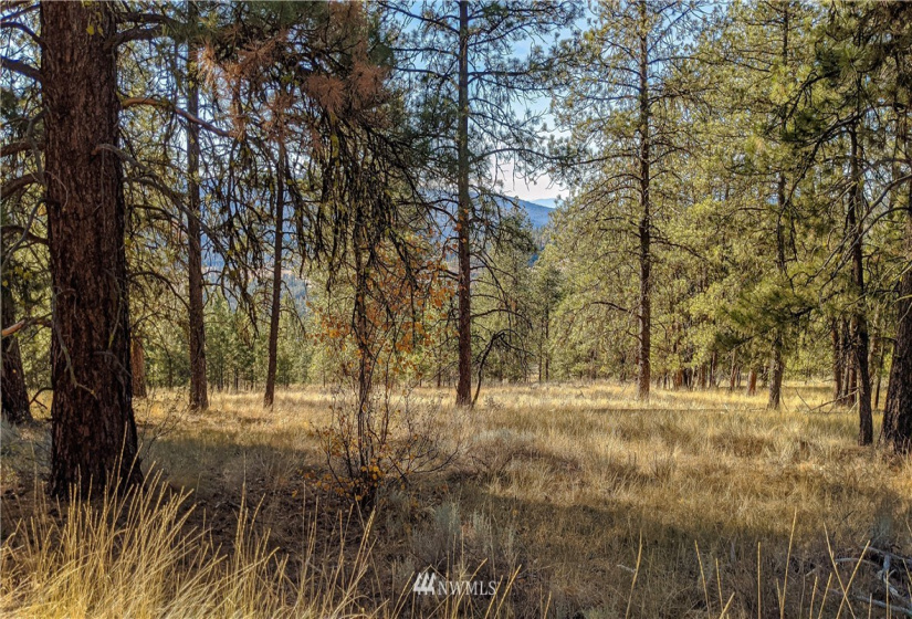 6 Buck, Tonasket, Washington 98855, ,Land,For Sale,Buck,NWM1851539