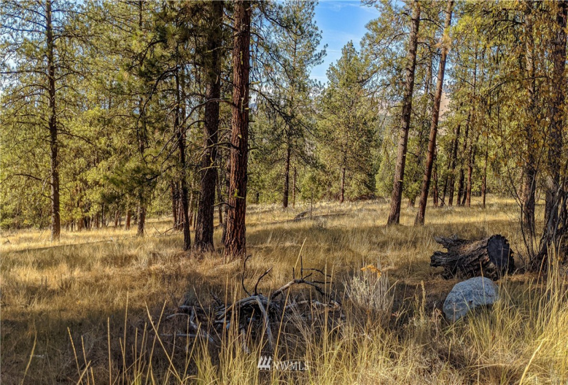 6 Buck, Tonasket, Washington 98855, ,Land,For Sale,Buck,NWM1851539