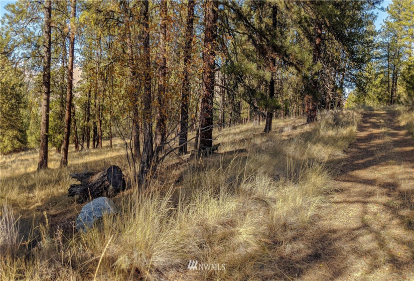 6 Buck, Tonasket, Washington 98855, ,Land,For Sale,Buck,NWM1851539