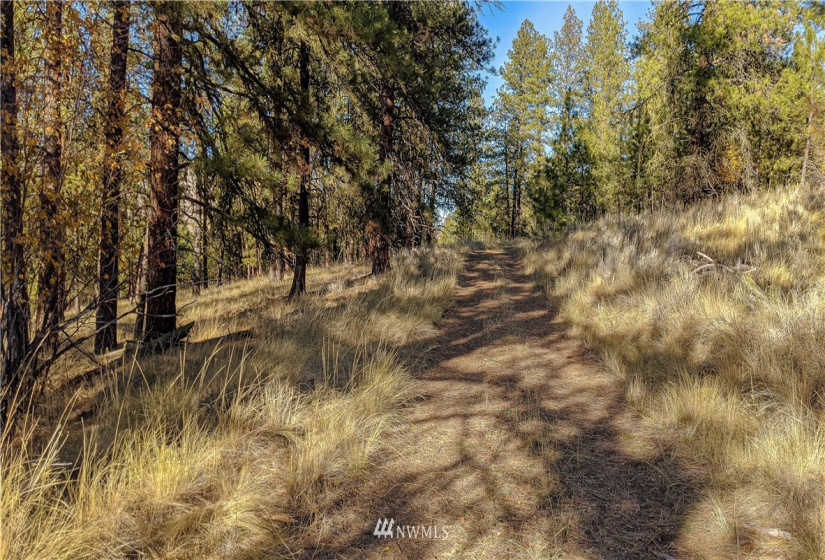 6 Buck, Tonasket, Washington 98855, ,Land,For Sale,Buck,NWM1851539