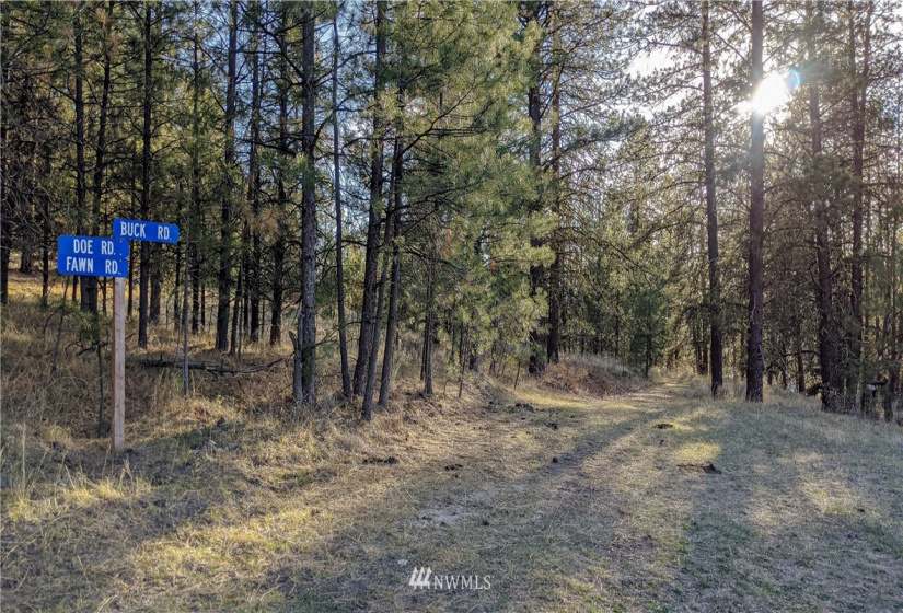 6 Buck, Tonasket, Washington 98855, ,Land,For Sale,Buck,NWM1851539