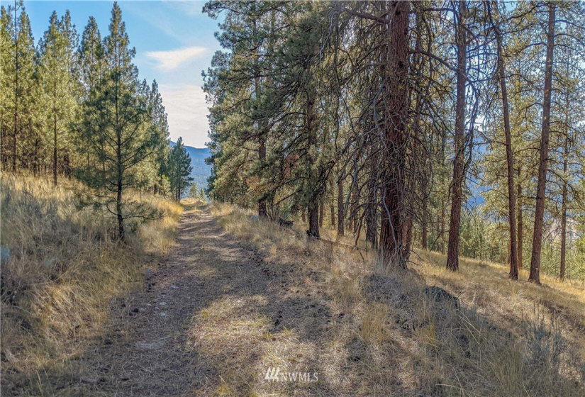 6 Buck, Tonasket, Washington 98855, ,Land,For Sale,Buck,NWM1851539