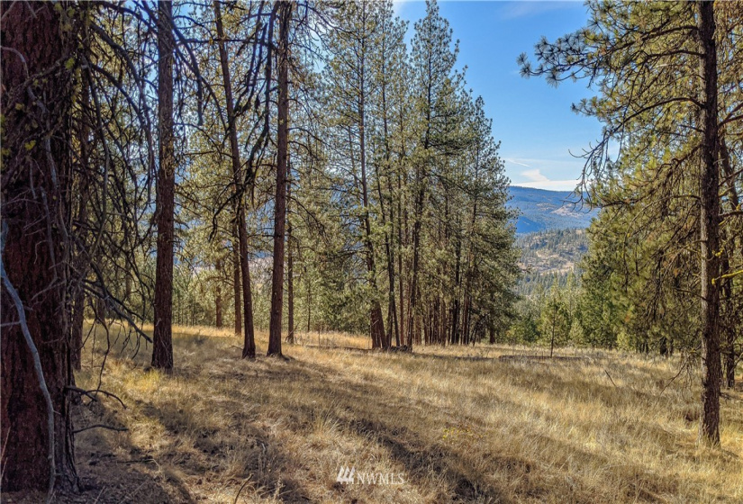 6 Buck, Tonasket, Washington 98855, ,Land,For Sale,Buck,NWM1851539