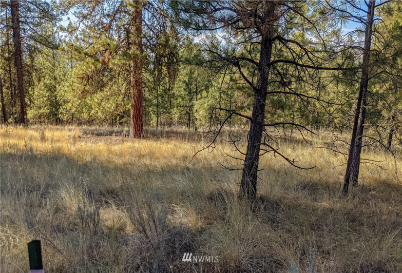 6 Buck, Tonasket, Washington 98855, ,Land,For Sale,Buck,NWM1851539