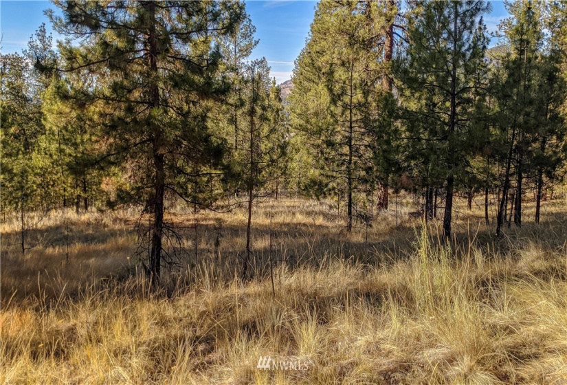 6 Buck, Tonasket, Washington 98855, ,Land,For Sale,Buck,NWM1851539