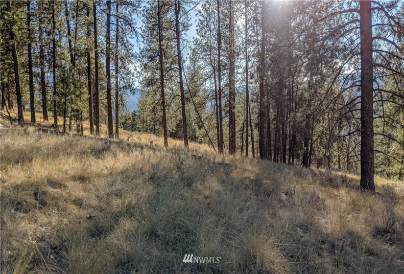 6 Buck, Tonasket, Washington 98855, ,Land,For Sale,Buck,NWM1851539