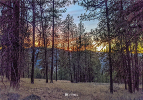 6 Buck, Tonasket, Washington 98855, ,Land,For Sale,Buck,NWM1851539