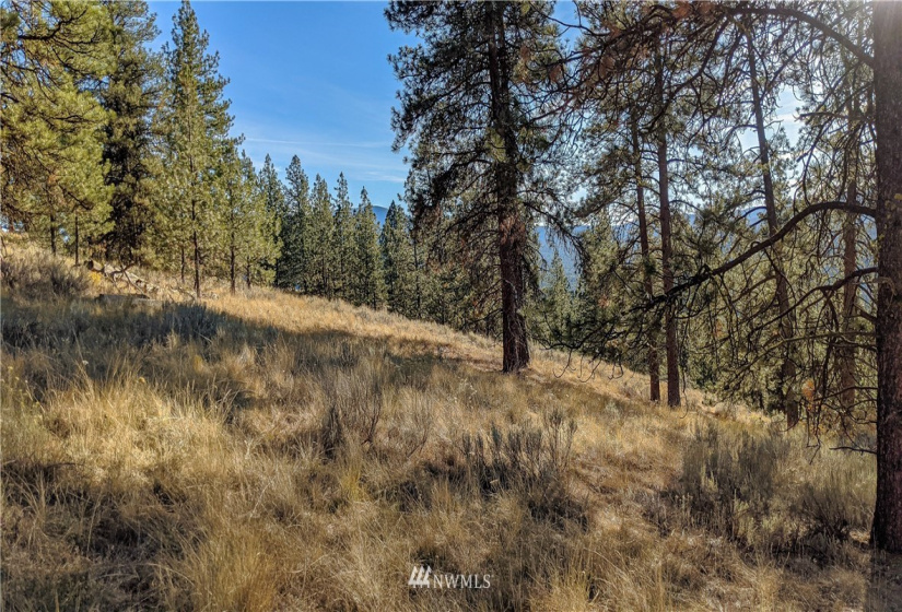 6 Buck, Tonasket, Washington 98855, ,Land,For Sale,Buck,NWM1851539