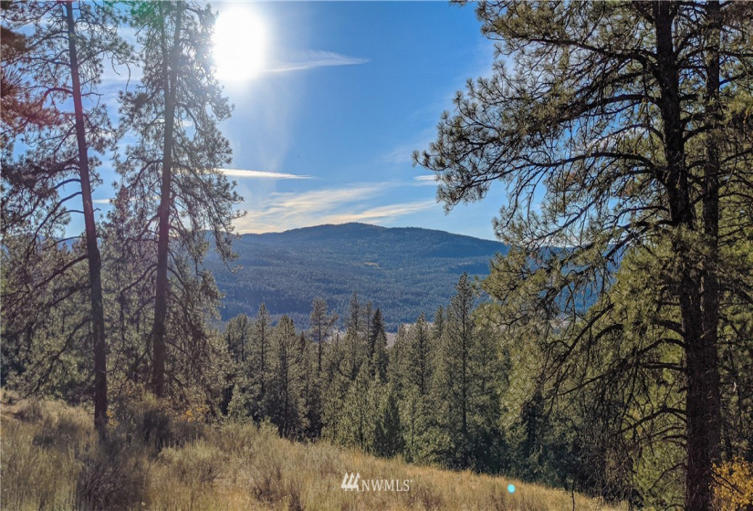 6 Buck, Tonasket, Washington 98855, ,Land,For Sale,Buck,NWM1851539