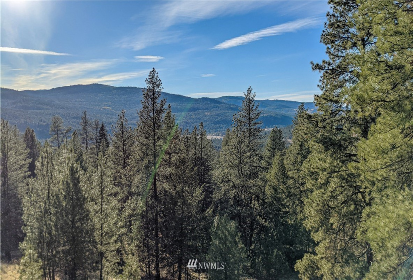 6 Buck, Tonasket, Washington 98855, ,Land,For Sale,Buck,NWM1851539