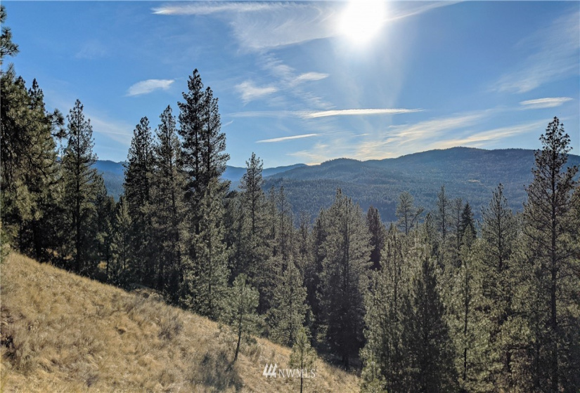 6 Buck, Tonasket, Washington 98855, ,Land,For Sale,Buck,NWM1851539