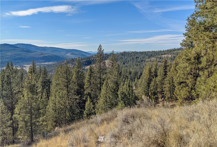 6 Buck, Tonasket, Washington 98855, ,Land,For Sale,Buck,NWM1851539