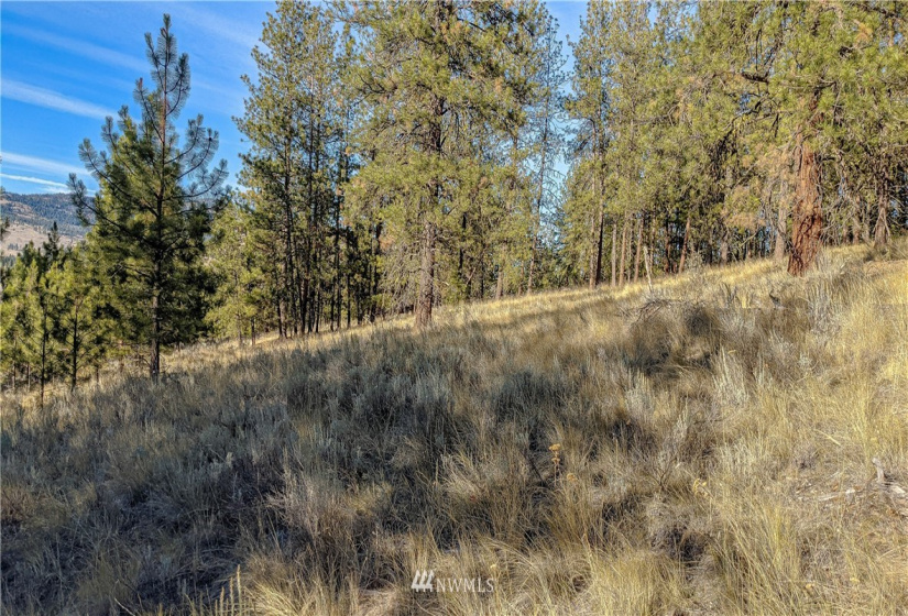 6 Buck, Tonasket, Washington 98855, ,Land,For Sale,Buck,NWM1851539
