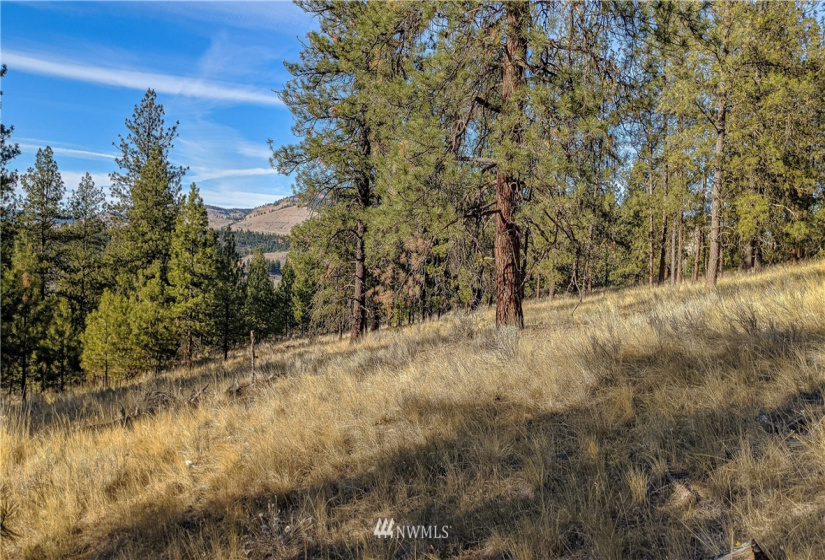 6 Buck, Tonasket, Washington 98855, ,Land,For Sale,Buck,NWM1851539