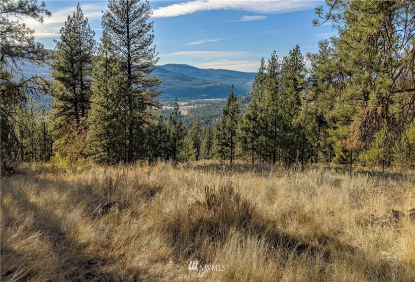 6 Buck, Tonasket, Washington 98855, ,Land,For Sale,Buck,NWM1851539