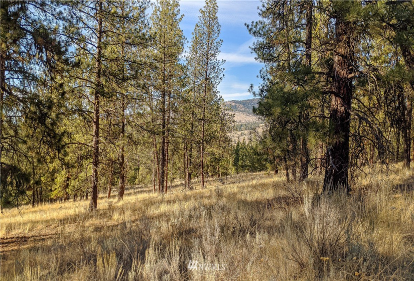 6 Buck, Tonasket, Washington 98855, ,Land,For Sale,Buck,NWM1851539