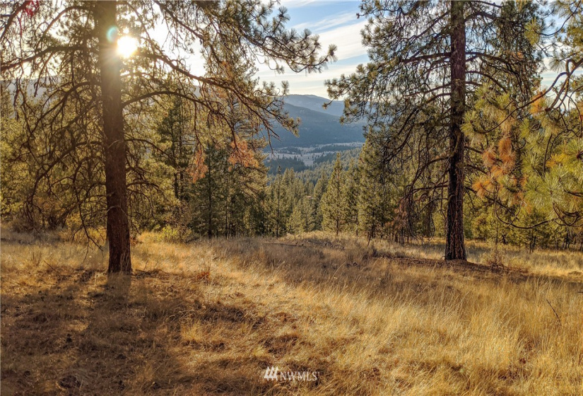 6 Buck, Tonasket, Washington 98855, ,Land,For Sale,Buck,NWM1851539