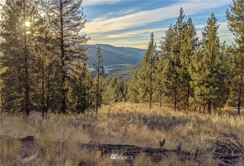 6 Buck, Tonasket, Washington 98855, ,Land,For Sale,Buck,NWM1851539