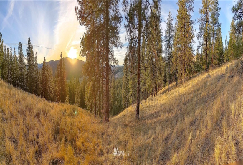 6 Buck, Tonasket, Washington 98855, ,Land,For Sale,Buck,NWM1851539