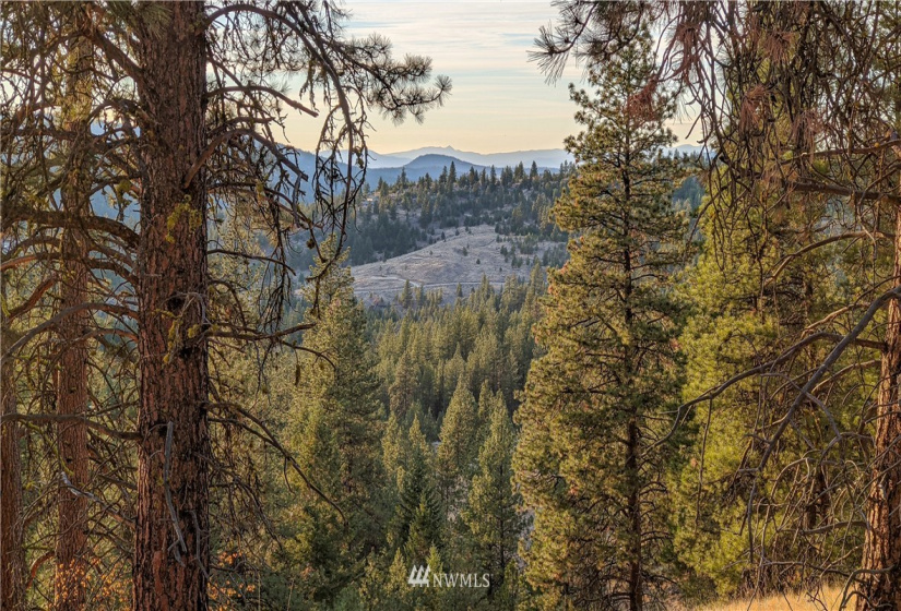 6 Buck, Tonasket, Washington 98855, ,Land,For Sale,Buck,NWM1851539