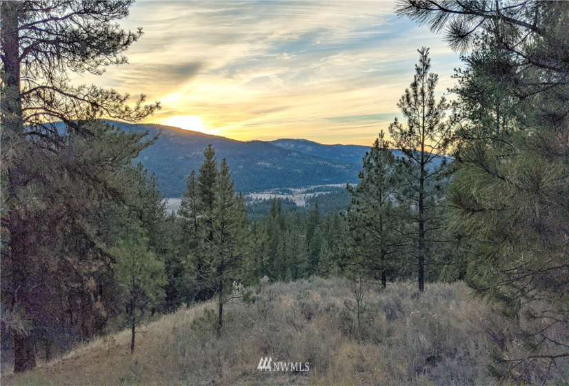 6 Buck, Tonasket, Washington 98855, ,Land,For Sale,Buck,NWM1851539