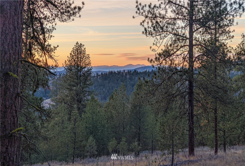 6 Buck, Tonasket, Washington 98855, ,Land,For Sale,Buck,NWM1851539