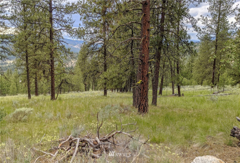 6 Buck, Tonasket, Washington 98855, ,Land,For Sale,Buck,NWM1851539
