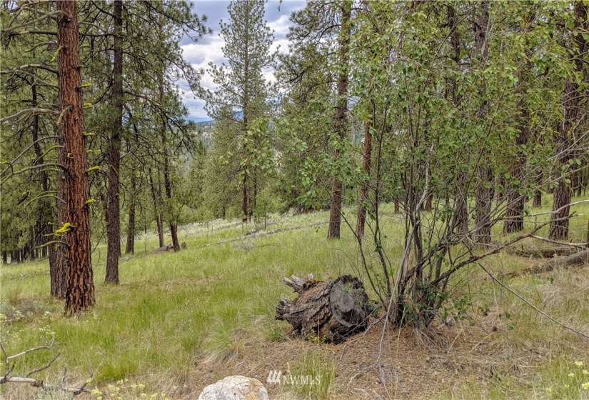 6 Buck, Tonasket, Washington 98855, ,Land,For Sale,Buck,NWM1851539