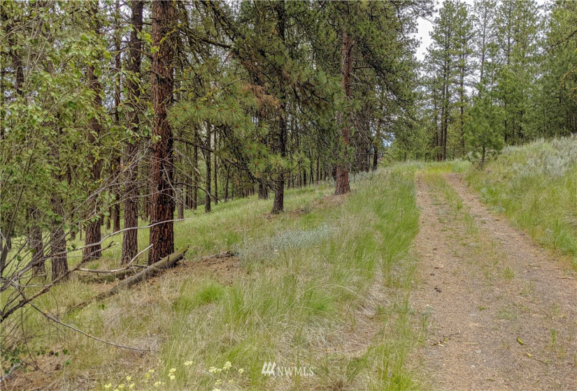 6 Buck, Tonasket, Washington 98855, ,Land,For Sale,Buck,NWM1851539