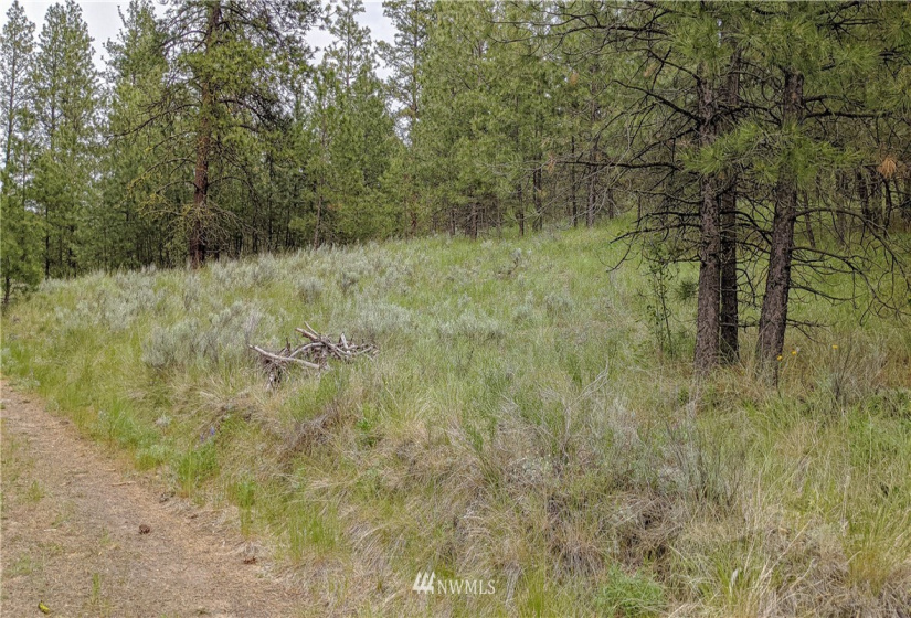 6 Buck, Tonasket, Washington 98855, ,Land,For Sale,Buck,NWM1851539