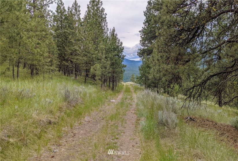 6 Buck, Tonasket, Washington 98855, ,Land,For Sale,Buck,NWM1851539
