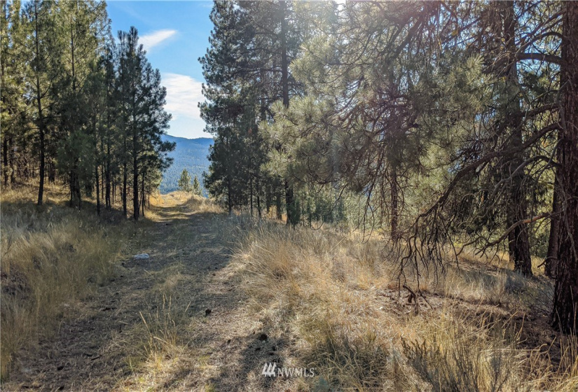 6 Buck, Tonasket, Washington 98855, ,Land,For Sale,Buck,NWM1851539