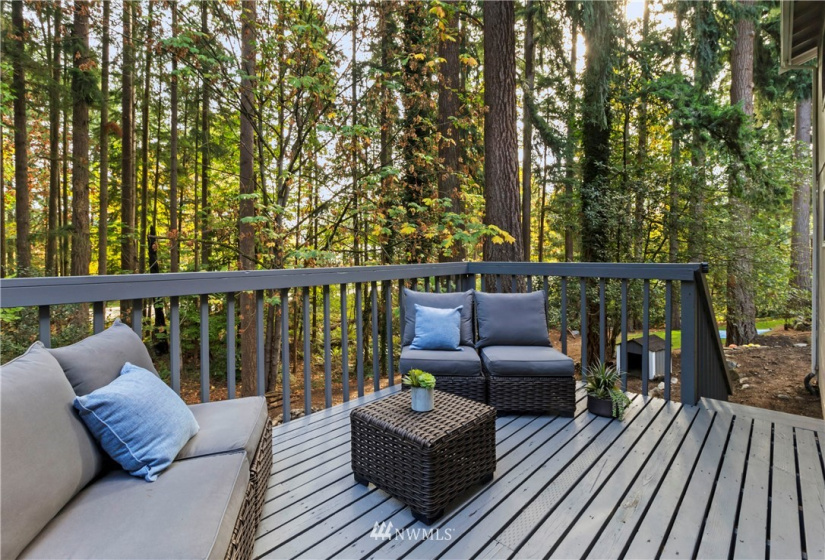 19009 62nd, Lake Tapps, Washington 98391, 4 Bedrooms Bedrooms, ,1 BathroomBathrooms,Residential,For Sale,62nd,NWM1829492