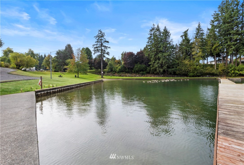 19009 62nd, Lake Tapps, Washington 98391, 4 Bedrooms Bedrooms, ,1 BathroomBathrooms,Residential,For Sale,62nd,NWM1829492