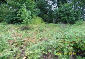 7029 Trafton, Tacoma, Washington 98411, ,Land,For Sale,Trafton,NWM1851796