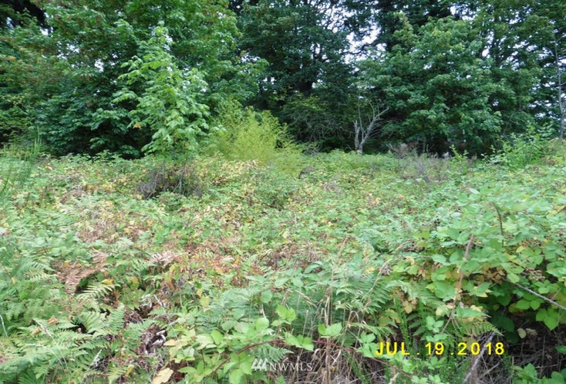 7029 Trafton, Tacoma, Washington 98411, ,Land,For Sale,Trafton,NWM1851796