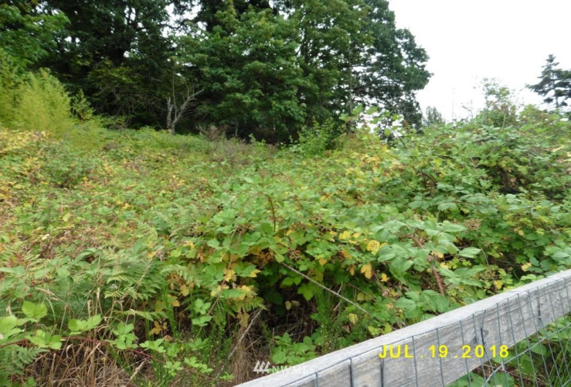 7029 Trafton, Tacoma, Washington 98411, ,Land,For Sale,Trafton,NWM1851796