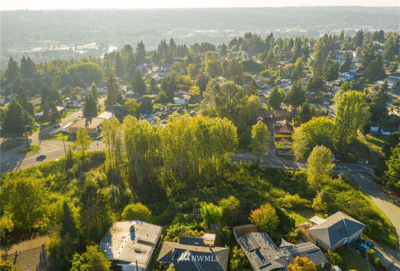 11800 Beacon, Seattle, Washington 98178, ,Land,For Sale,Beacon,NWM1852097