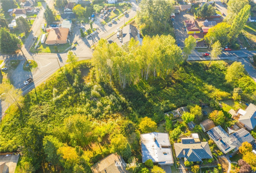 11800 Beacon, Seattle, Washington 98178, ,Land,For Sale,Beacon,NWM1852097