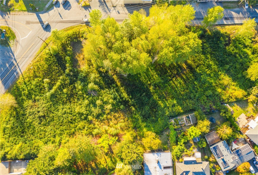 11800 Beacon, Seattle, Washington 98178, ,Land,For Sale,Beacon,NWM1852097