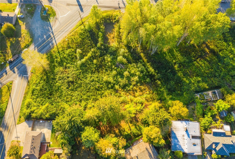 11800 Beacon, Seattle, Washington 98178, ,Land,For Sale,Beacon,NWM1852097