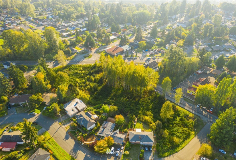 11800 Beacon, Seattle, Washington 98178, ,Land,For Sale,Beacon,NWM1852097
