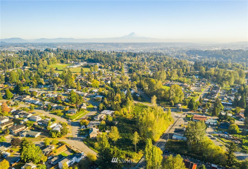 11800 Beacon, Seattle, Washington 98178, ,Land,For Sale,Beacon,NWM1852097