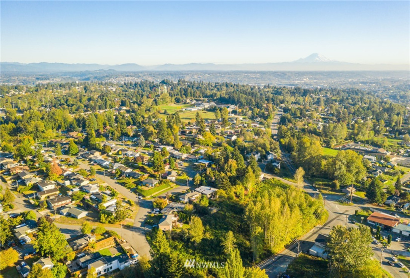 11800 Beacon, Seattle, Washington 98178, ,Land,For Sale,Beacon,NWM1852097