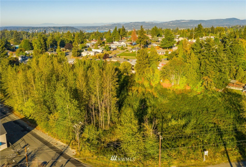 11800 Beacon, Seattle, Washington 98178, ,Land,For Sale,Beacon,NWM1852097
