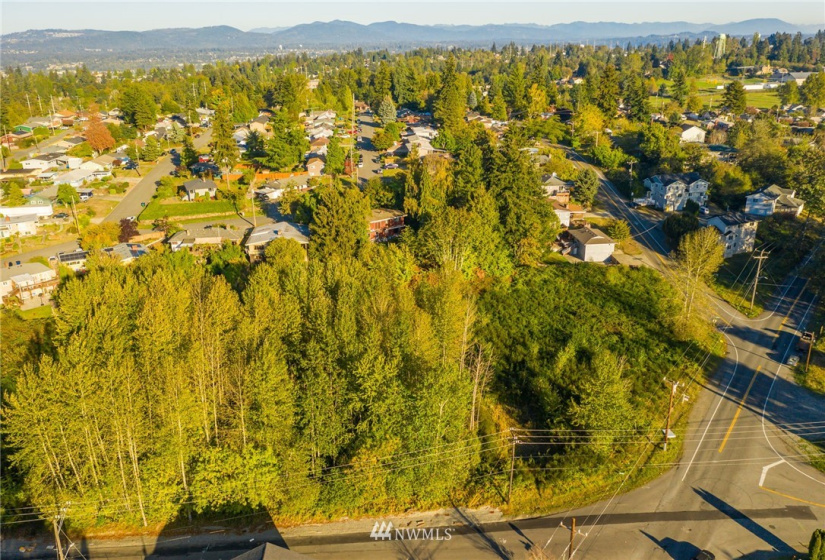 11800 Beacon, Seattle, Washington 98178, ,Land,For Sale,Beacon,NWM1852097