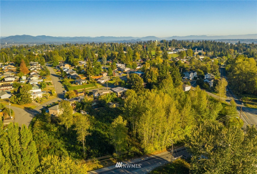 11800 Beacon, Seattle, Washington 98178, ,Land,For Sale,Beacon,NWM1852097